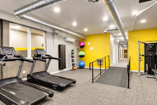 A gym with treadmills, exercise balls, and weight racks.