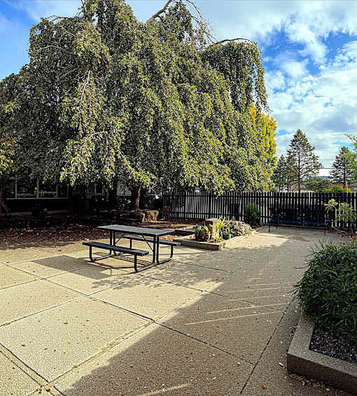 A picnic table sits in the middle of a concrete patio.