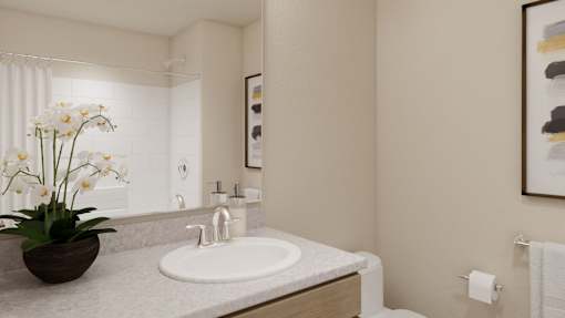 A bathroom with a sink, mirror, and a potted plant.