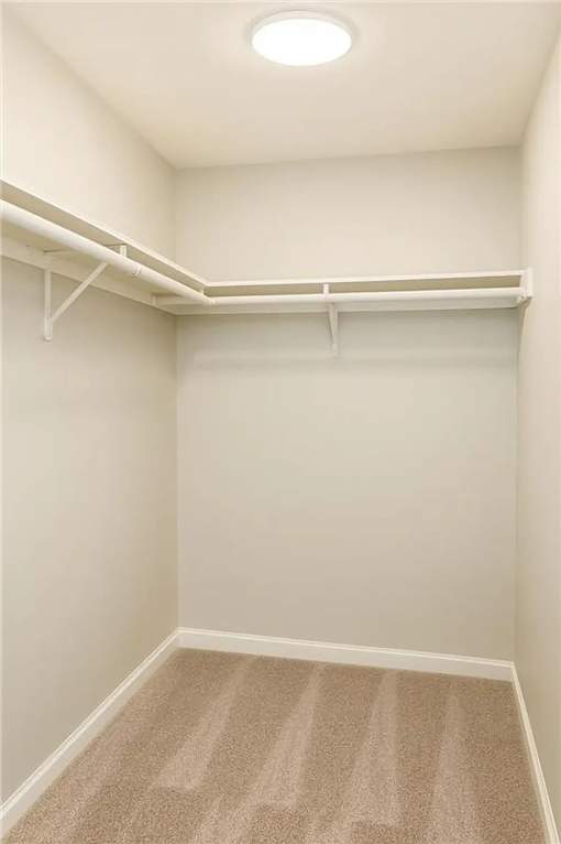 A white closet with a carpeted floor and a light on the ceiling.