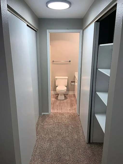 A bathroom with a toilet and a shelf.