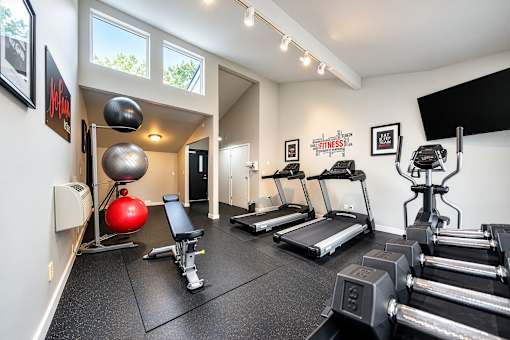 A gym with treadmills, weights, and exercise balls.