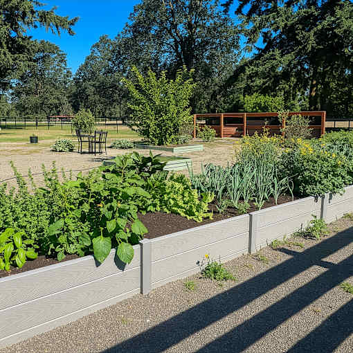 A garden with a wooden fence in the background.