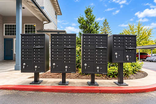 Four black mailboxes are lined up on a sidewalk.