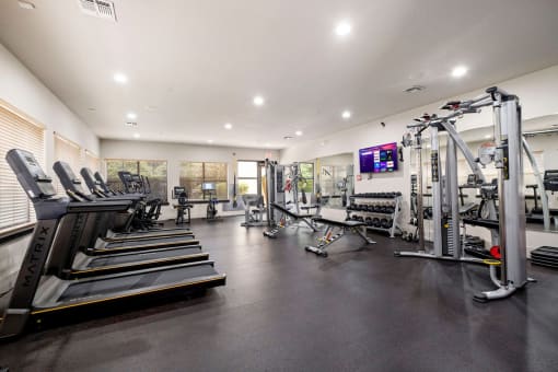 the gym is equipped with cardio equipment and weights