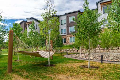 A wooden swing hangs between two trees in a grassy area. Eagle Colorado