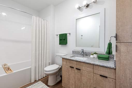 a bathroom with a shower toilet and sink and a mirror