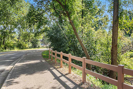 A tree-lined road with a wooden fence on the side.