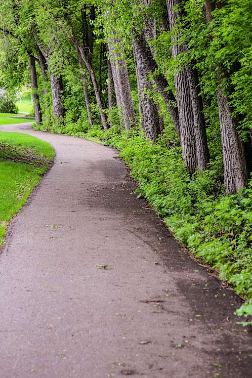 A pathway is lined with trees and greenery on both sides.