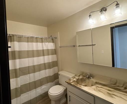 A bathroom with a toilet, sink, and shower curtain.