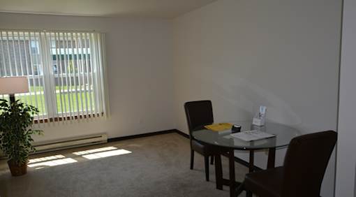 A room with a table, chairs and a plant.