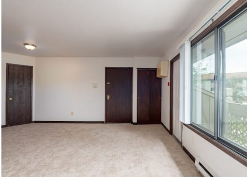 A room with a carpeted floor, two doors, and a window with a view of a balcony.