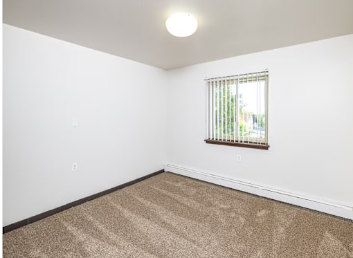 A room with a carpeted floor and a window with blinds.