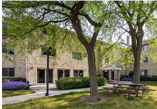 A tree with green leaves stands in front of a building.