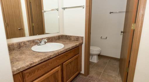 A bathroom with a sink, mirror, and toilet.