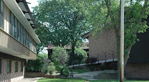 A tree in front of a building with a stone wall.