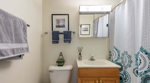 A bathroom with a toilet, sink, and shower curtain.