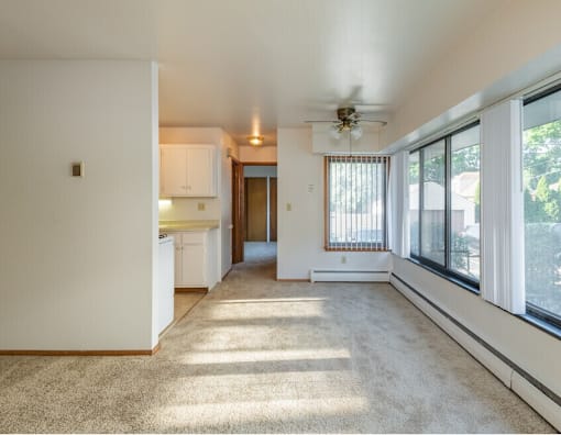 A sunny day in a living room with a carpet floor and a ceiling fan.