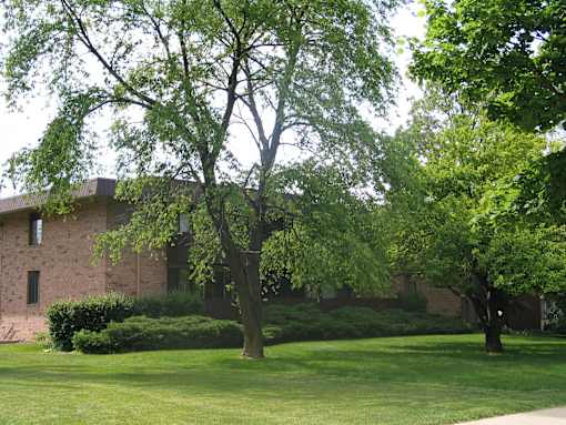 A tree in front of a building with a green lawn.