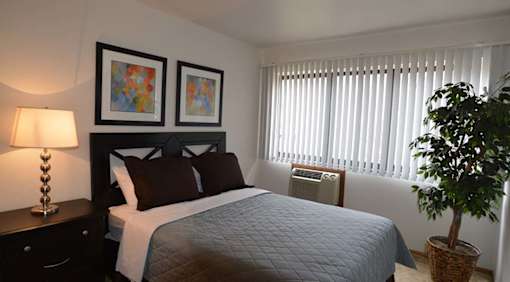 A bedroom with a bed, a lamp, a plant, and two pictures on the wall.