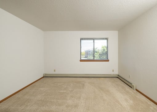 A room with a carpeted floor and a window.
