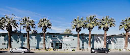 A row of palm trees in front of a blue building.