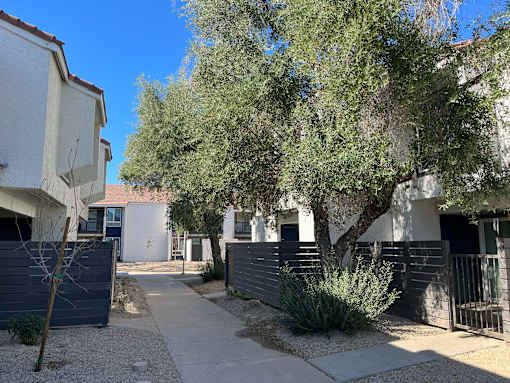 A residential area with a sidewalk and trees.