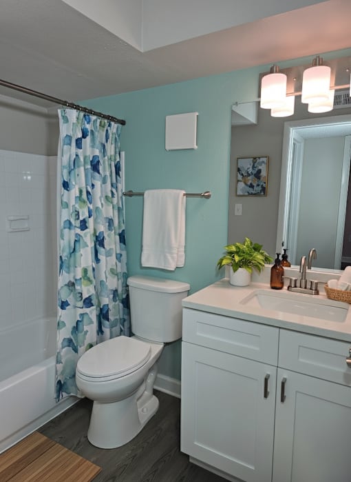 The Palms of Clearwater Bathroom (virtually staged)
