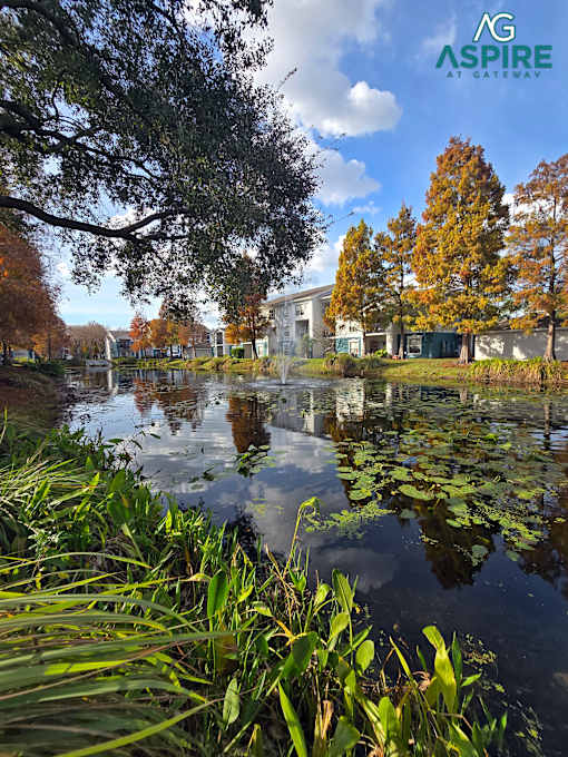 A serene pond with lily pads and trees in autumnal colors.