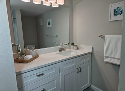 The Palms of Clearwater Bathroom (virtually staged)