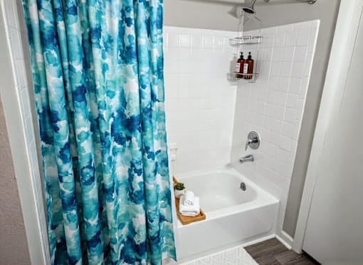 The Palms of Clearwater Bathroom (virtually staged)