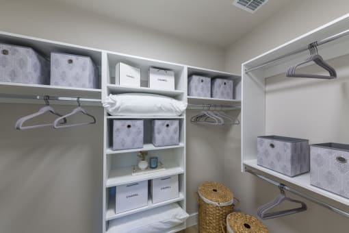 Longleaf at St. Johns Apartments | St. Johns, FL | Custom Built-In Closet