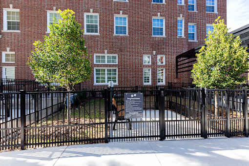 Lofts at Cathedral |Downtown Jacksonville FL | Pet Park
