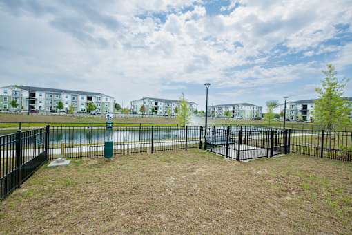 Madison Palms | Jacksonville, FL | Pet Park
