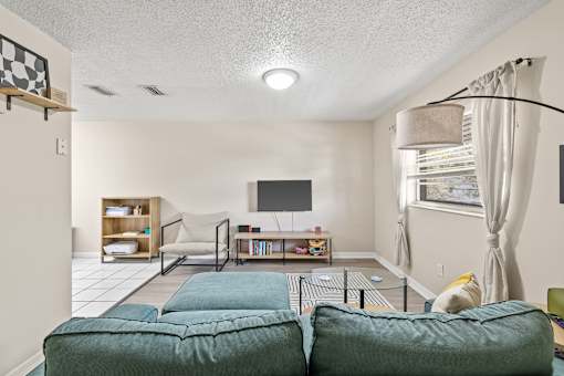 A living room with a green couch and a television.