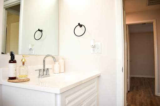 A bathroom with a white sink and a mirror above it.
