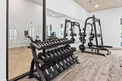 Fitness Center at The Residences at Enso, Florida
