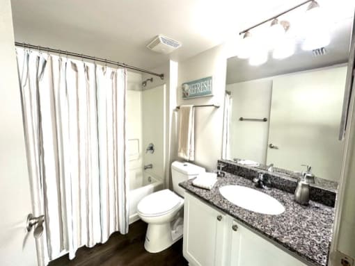 a bathroom with a shower toilet and a sink