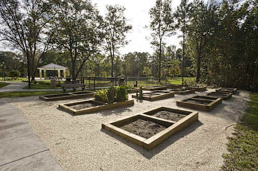 Marcis Pointe | Jacksonville, FL  | Community Garden
