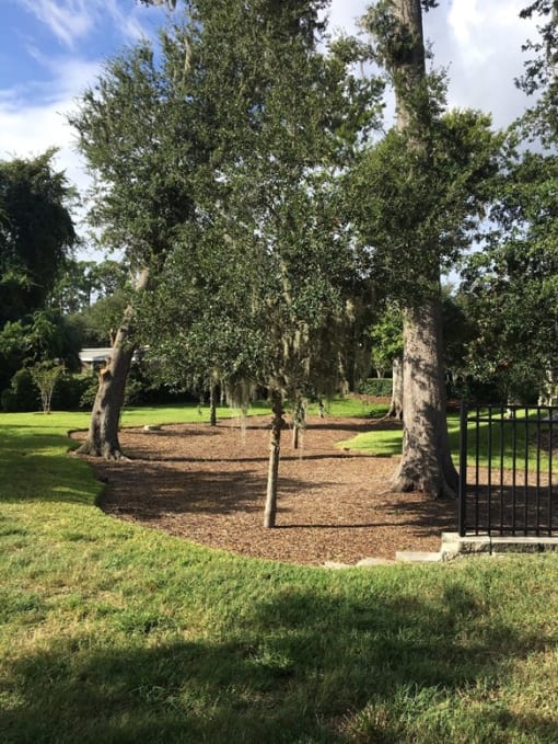 Olive Grove Apartments Landscaping