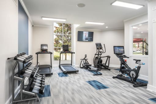 The Landings at Boot Ranch | Palm Harbor FL  | Fitness Center