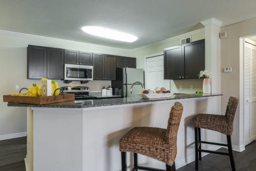 The Landings at Boot Ranch | Palm Harbor FL  | Model Kitchen