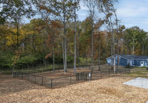 A fenced area with a blue building in the background.