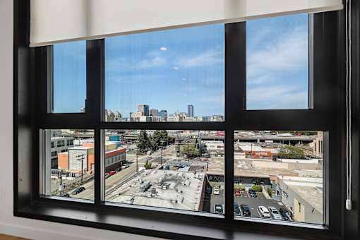 Expansive Window Views