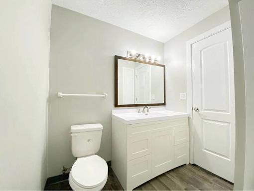 A white toilet sits next to a sink in a small bathroom.