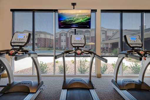 A gym with treadmills and a television showing a landscape.