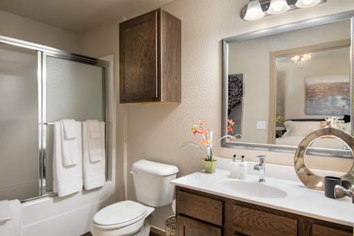 A bathroom with a toilet, sink, mirror, and a plant.