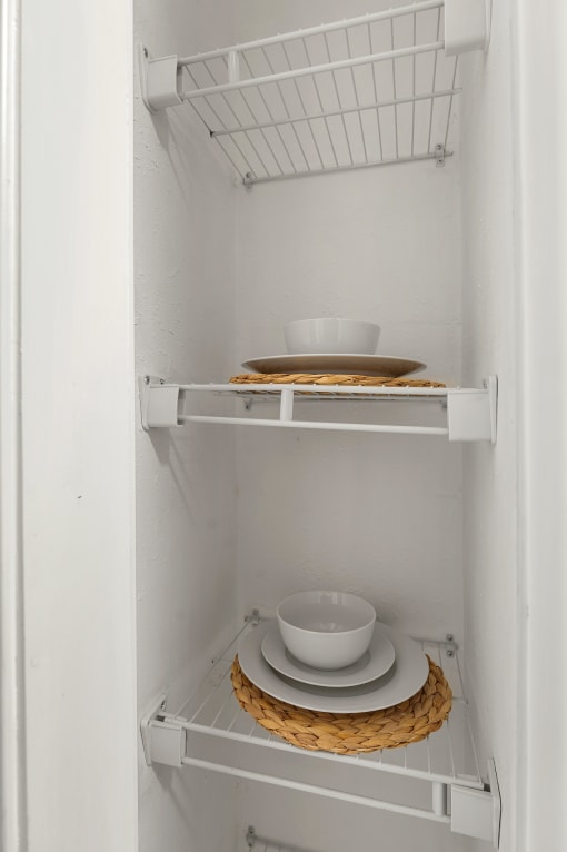 Kitchen Pantry