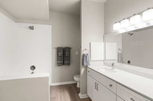 Large bathroom vanity and shower