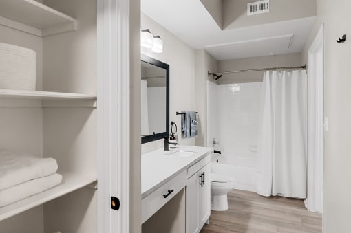 Modern Bathroom with Storage
